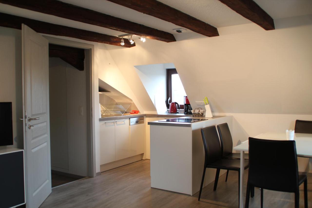 A L'Ill - Apparts & Studios Strasbourg Hyper Centre Eksteriør bilde